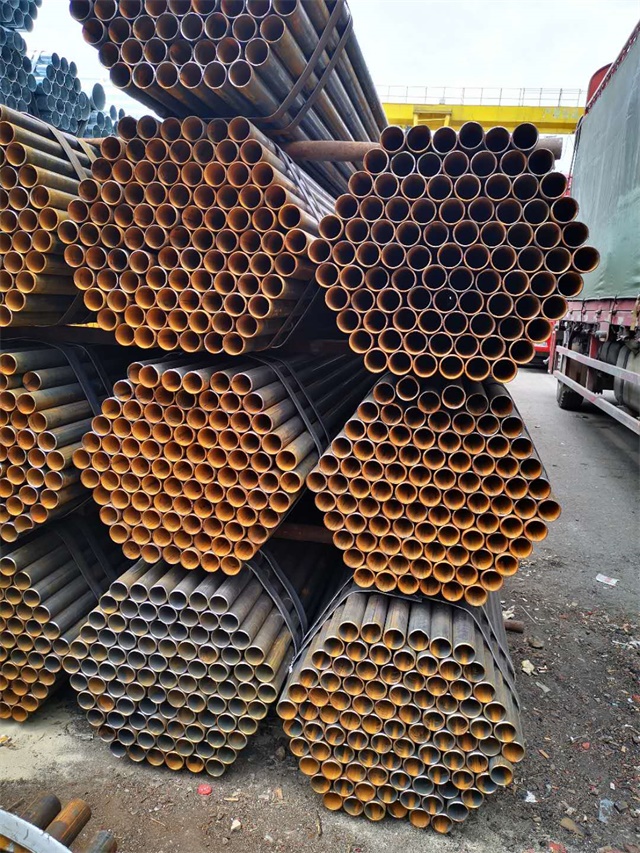 b_5517733202010181222297671.jpg b_5517733202010181222297671.jpg